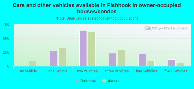 Cars and other vehicles available in Fishhook in owner-occupied houses/condos