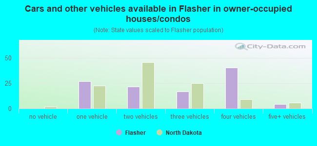 Cars and other vehicles available in Flasher in owner-occupied houses/condos