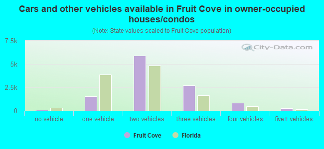 Cars and other vehicles available in Fruit Cove in owner-occupied houses/condos