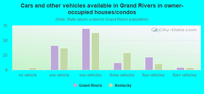 Cars and other vehicles available in Grand Rivers in owner-occupied houses/condos