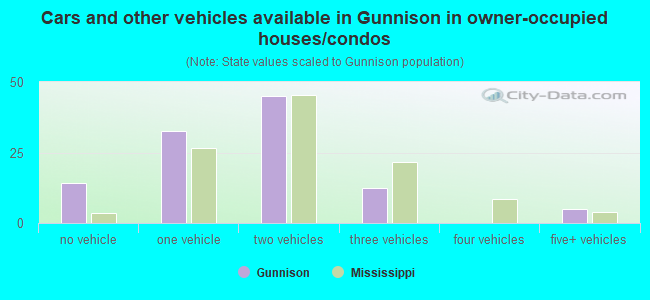 Cars and other vehicles available in Gunnison in owner-occupied houses/condos