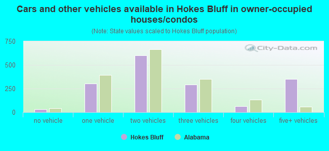 Cars and other vehicles available in Hokes Bluff in owner-occupied houses/condos