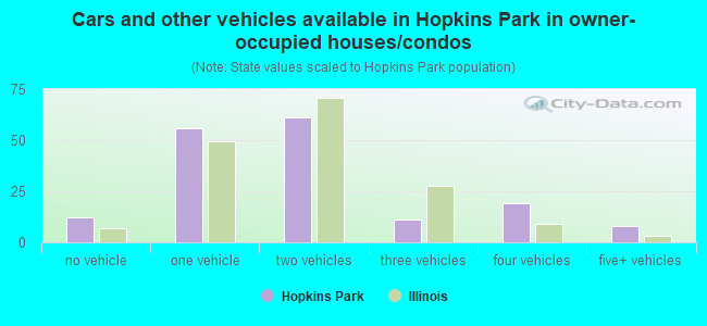 Cars and other vehicles available in Hopkins Park in owner-occupied houses/condos
