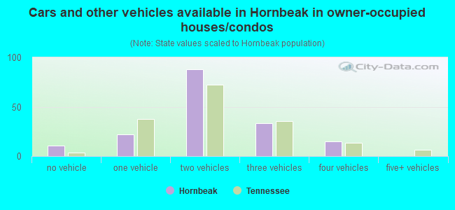 Cars and other vehicles available in Hornbeak in owner-occupied houses/condos