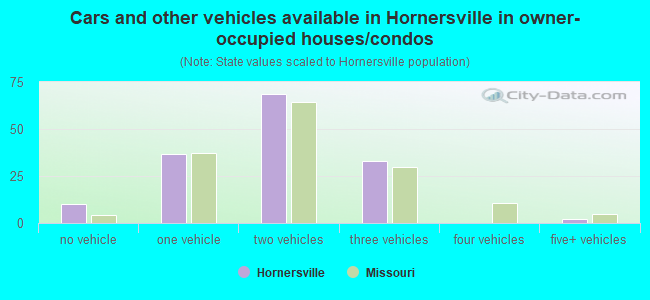 Cars and other vehicles available in Hornersville in owner-occupied houses/condos