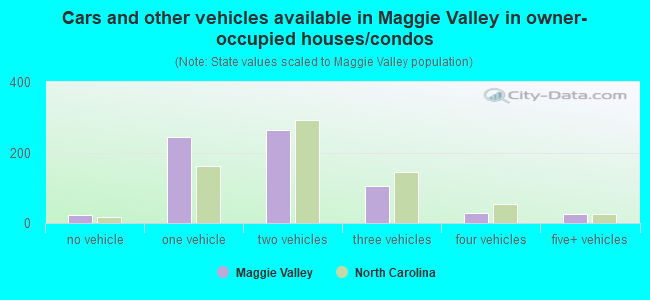 Cars and other vehicles available in Maggie Valley in owner-occupied houses/condos