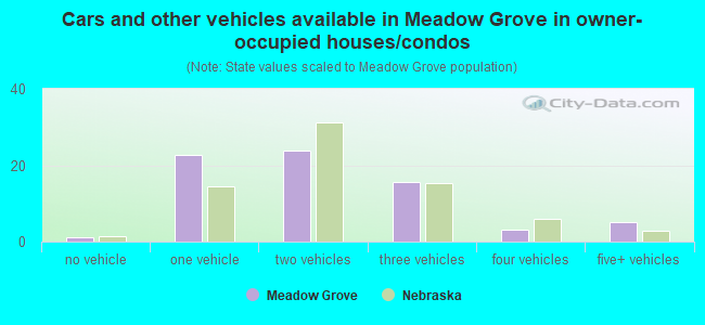 Cars and other vehicles available in Meadow Grove in owner-occupied houses/condos