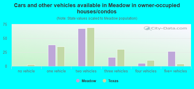 Cars and other vehicles available in Meadow in owner-occupied houses/condos