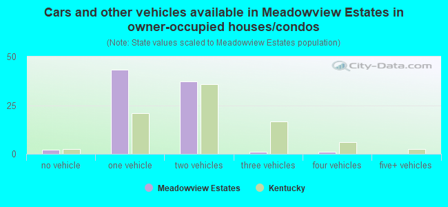 Cars and other vehicles available in Meadowview Estates in owner-occupied houses/condos