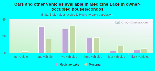 Cars and other vehicles available in Medicine Lake in owner-occupied houses/condos