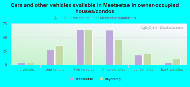 Cars and other vehicles available in Meeteetse in owner-occupied houses/condos