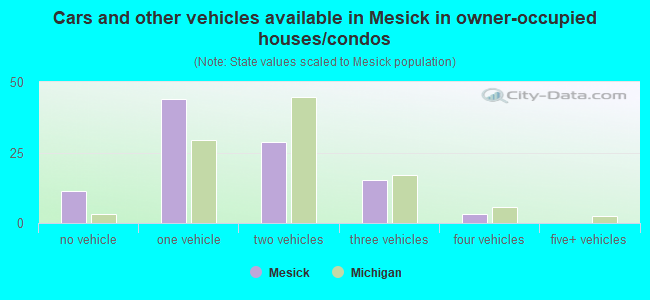 Cars and other vehicles available in Mesick in owner-occupied houses/condos