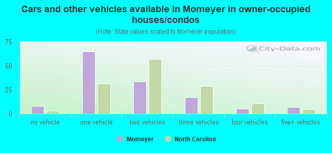 Cars and other vehicles available in Momeyer in owner-occupied houses/condos