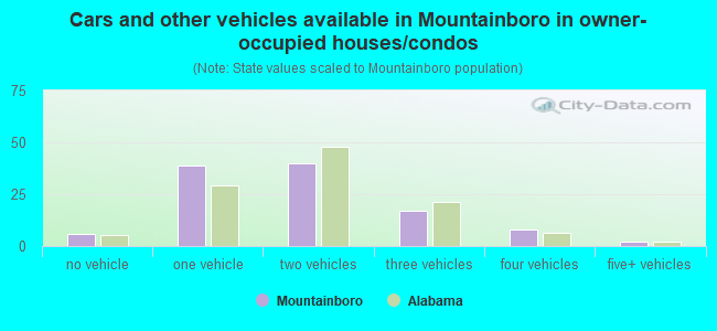 Cars and other vehicles available in Mountainboro in owner-occupied houses/condos