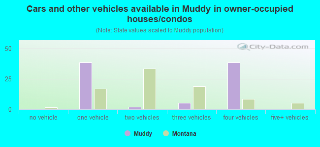 Cars and other vehicles available in Muddy in owner-occupied houses/condos
