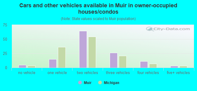 Cars and other vehicles available in Muir in owner-occupied houses/condos