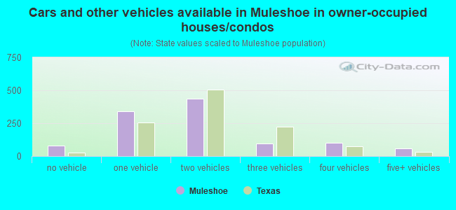 Cars and other vehicles available in Muleshoe in owner-occupied houses/condos