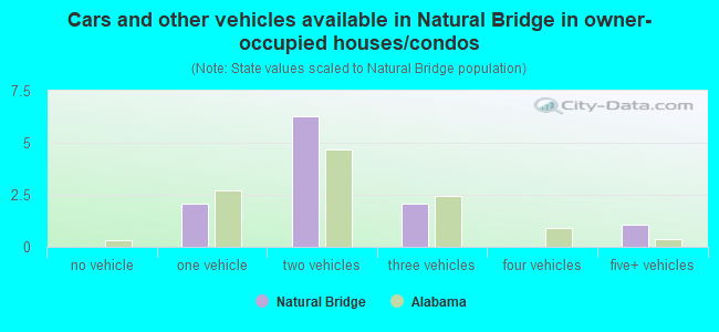 Cars and other vehicles available in Natural Bridge in owner-occupied houses/condos