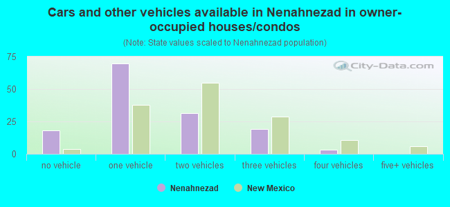 Cars and other vehicles available in Nenahnezad in owner-occupied houses/condos