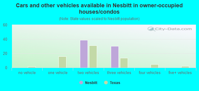 Cars and other vehicles available in Nesbitt in owner-occupied houses/condos