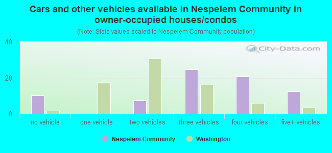 Cars and other vehicles available in Nespelem Community in owner-occupied houses/condos