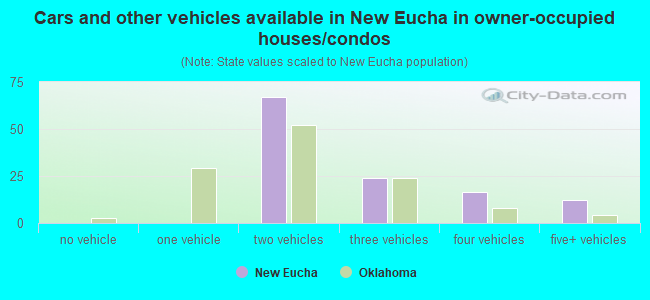 Cars and other vehicles available in New Eucha in owner-occupied houses/condos