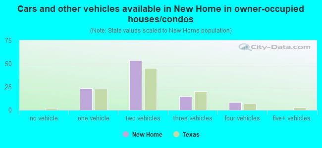 Cars and other vehicles available in New Home in owner-occupied houses/condos