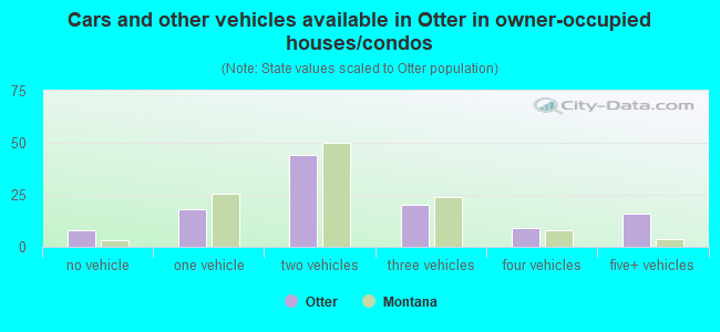 Cars and other vehicles available in Otter in owner-occupied houses/condos