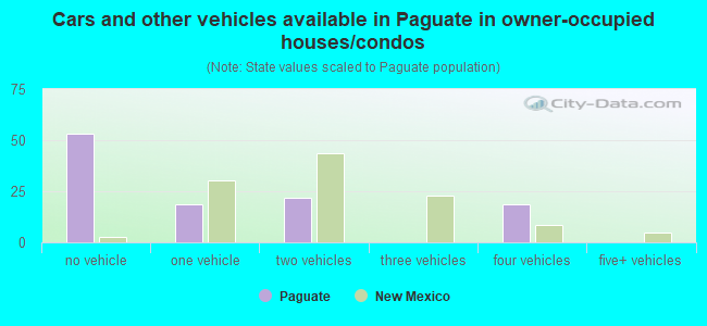 Cars and other vehicles available in Paguate in owner-occupied houses/condos