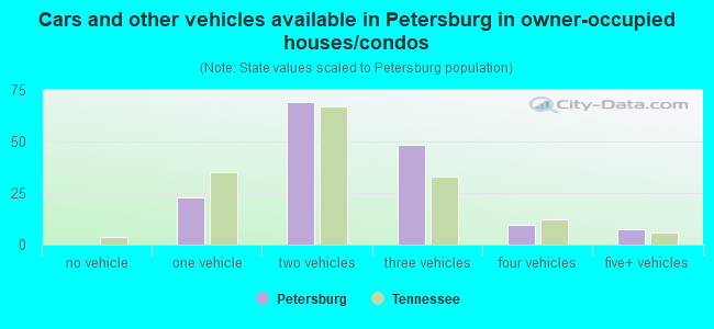 Cars and other vehicles available in Petersburg in owner-occupied houses/condos