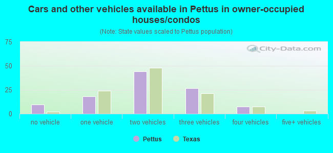Cars and other vehicles available in Pettus in owner-occupied houses/condos