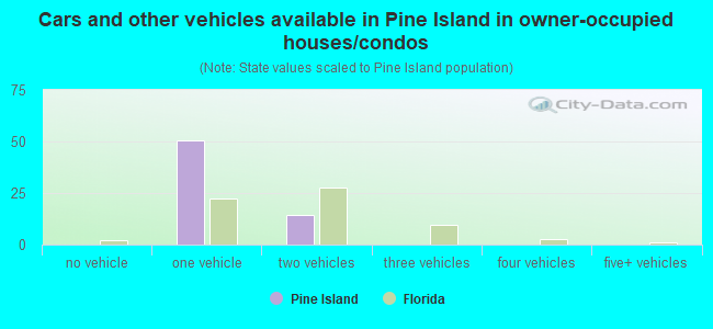 Cars and other vehicles available in Pine Island in owner-occupied houses/condos