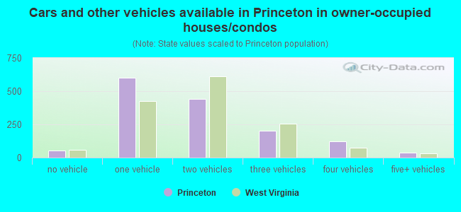 Cars and other vehicles available in Princeton in owner-occupied houses/condos