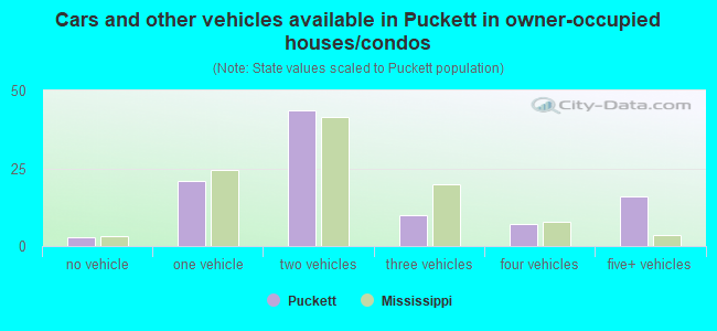 Cars and other vehicles available in Puckett in owner-occupied houses/condos