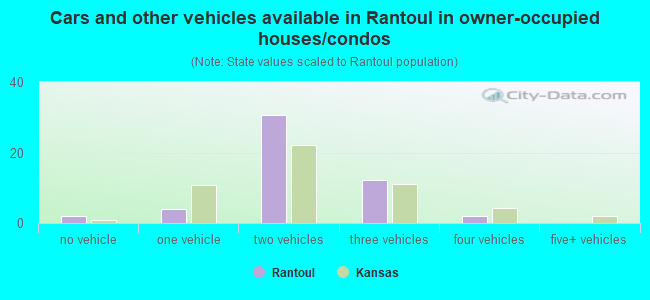 Cars and other vehicles available in Rantoul in owner-occupied houses/condos