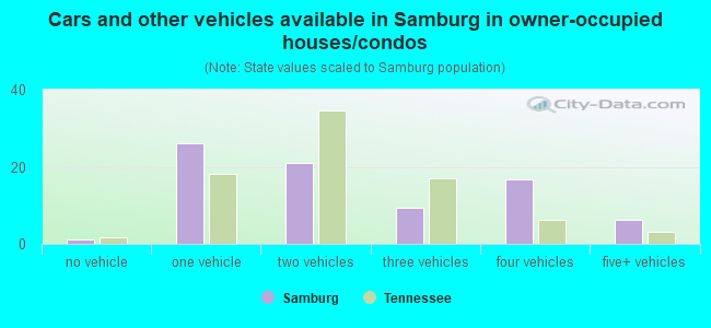 Cars and other vehicles available in Samburg in owner-occupied houses/condos