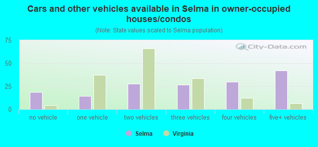 Cars and other vehicles available in Selma in owner-occupied houses/condos