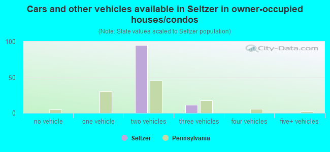 Cars and other vehicles available in Seltzer in owner-occupied houses/condos