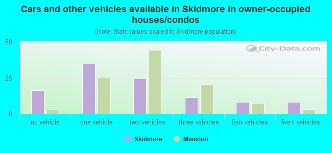 Cars and other vehicles available in Skidmore in owner-occupied houses/condos