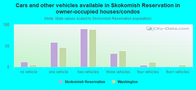Cars and other vehicles available in Skokomish Reservation in owner-occupied houses/condos