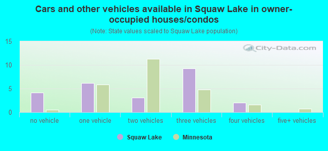 Cars and other vehicles available in Squaw Lake in owner-occupied houses/condos