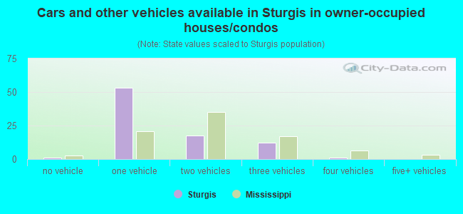 Cars and other vehicles available in Sturgis in owner-occupied houses/condos