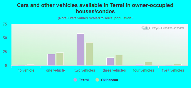 Cars and other vehicles available in Terral in owner-occupied houses/condos