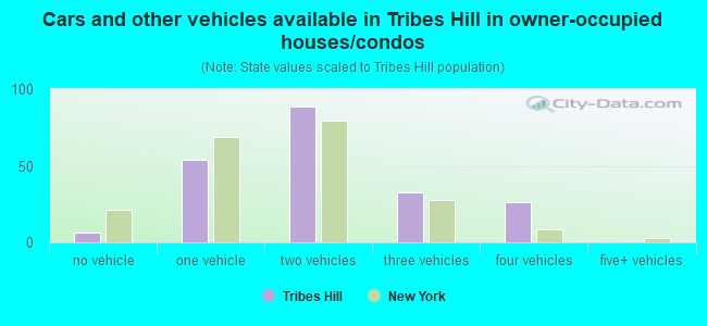 Cars and other vehicles available in Tribes Hill in owner-occupied houses/condos