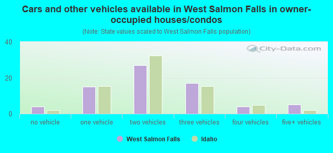 Cars and other vehicles available in West Salmon Falls in owner-occupied houses/condos