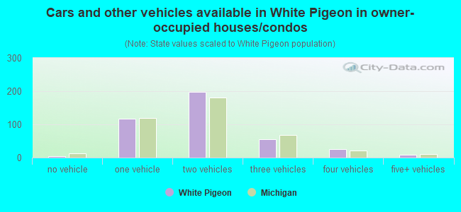 Cars and other vehicles available in White Pigeon in owner-occupied houses/condos