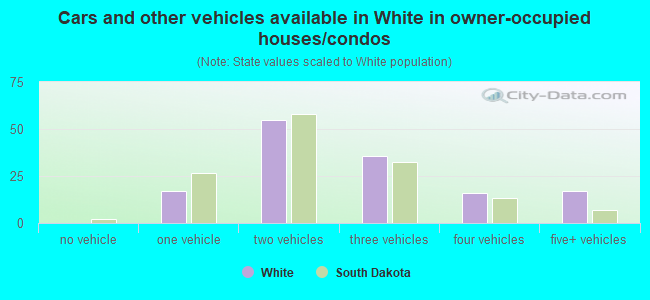 Cars and other vehicles available in White in owner-occupied houses/condos
