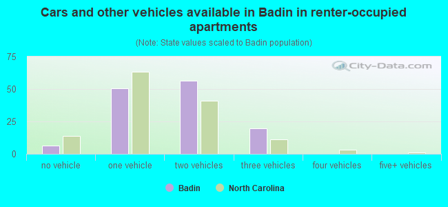 Cars and other vehicles available in Badin in renter-occupied apartments