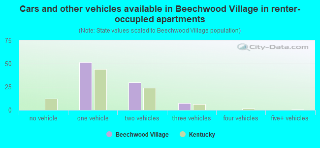 Cars and other vehicles available in Beechwood Village in renter-occupied apartments