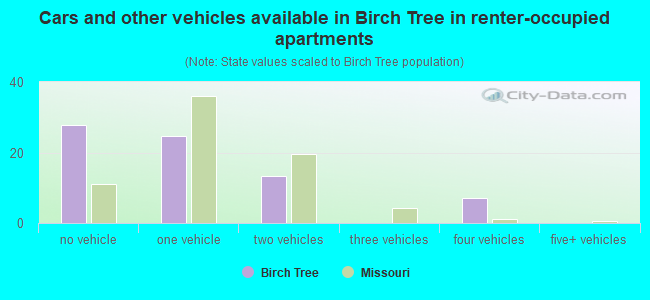 Cars and other vehicles available in Birch Tree in renter-occupied apartments